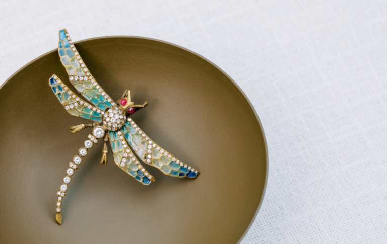 Dragonfly pin accessory